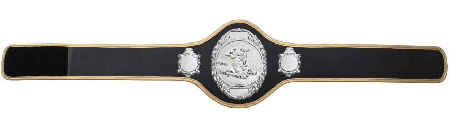 MMA CHAMPIONSHIP BELT-PRO286/S/MMAS-10+ COLOURS